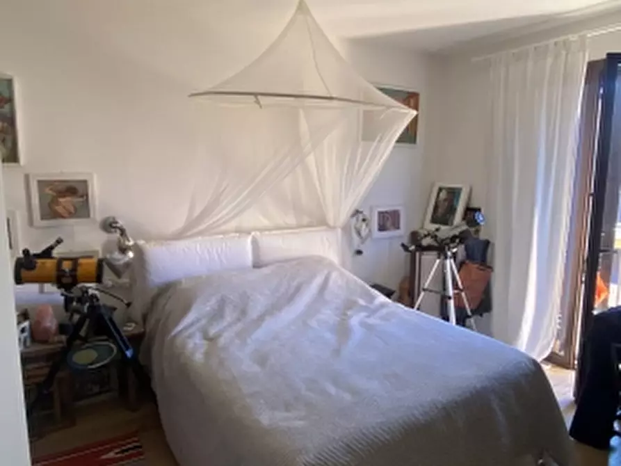 Immagine 12 di Appartamento in vendita  a Castagneto Carducci