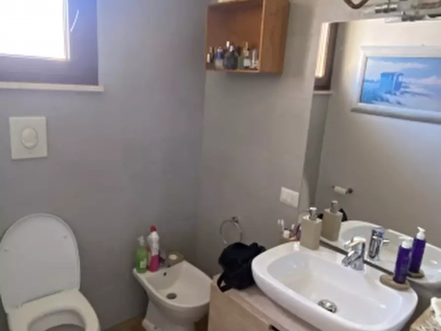 Immagine 19 di Appartamento in vendita  a Castagneto Carducci