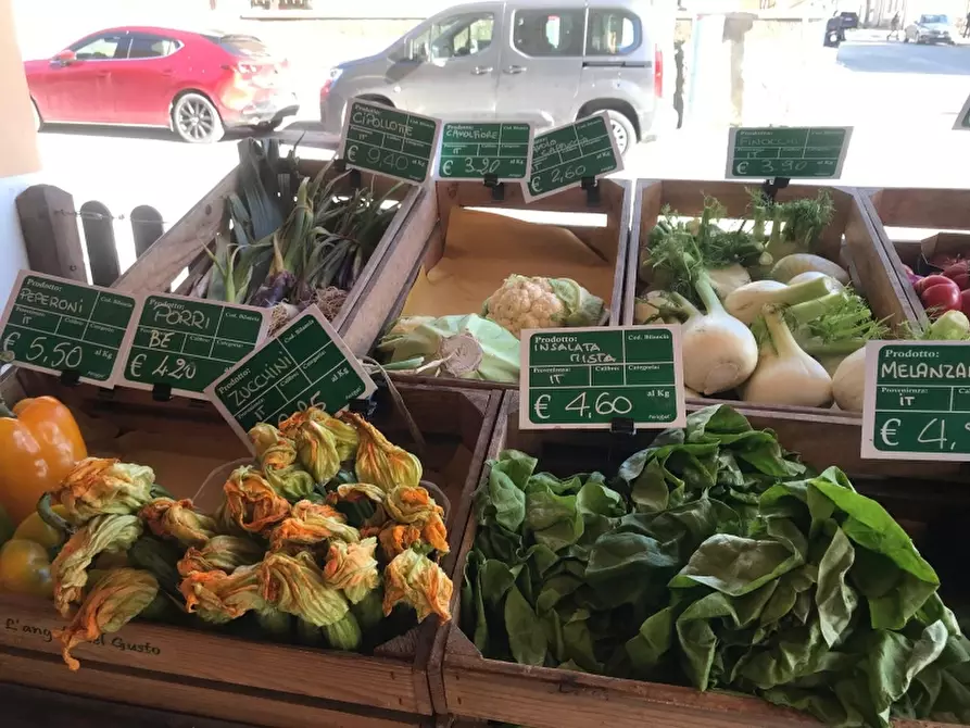 Immagine 11 di Attività commerciale in vendita  in Saan Vincenzo a San Vincenzo