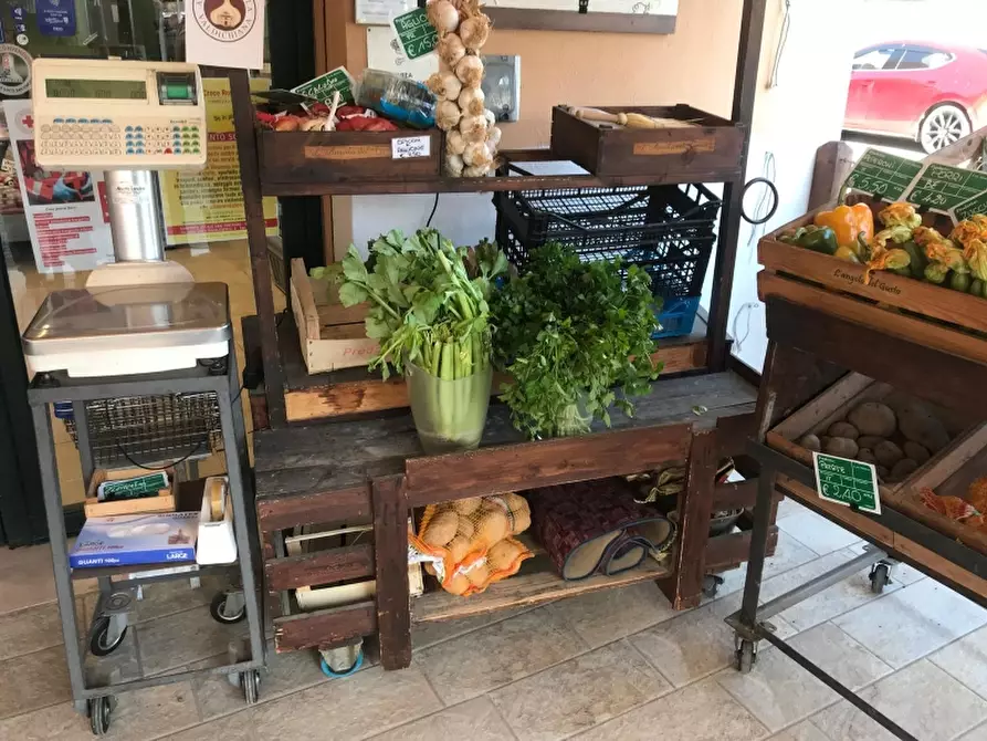 Immagine 12 di Attività commerciale in vendita  in Saan Vincenzo a San Vincenzo