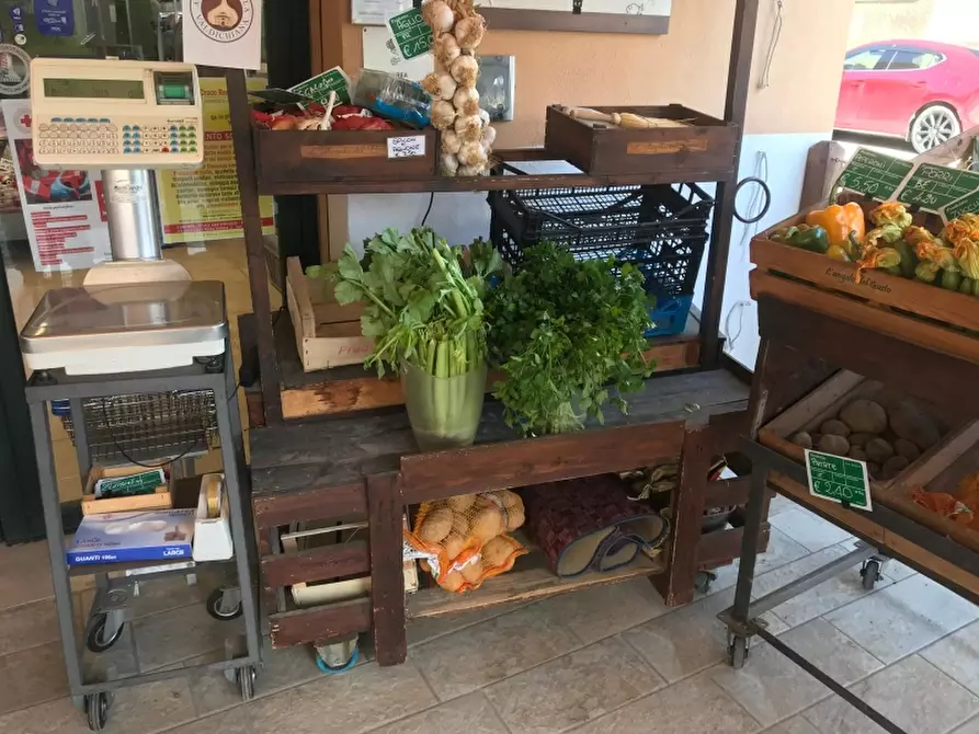 Immagine 18 di Attività commerciale in vendita  in Saan Vincenzo a San Vincenzo