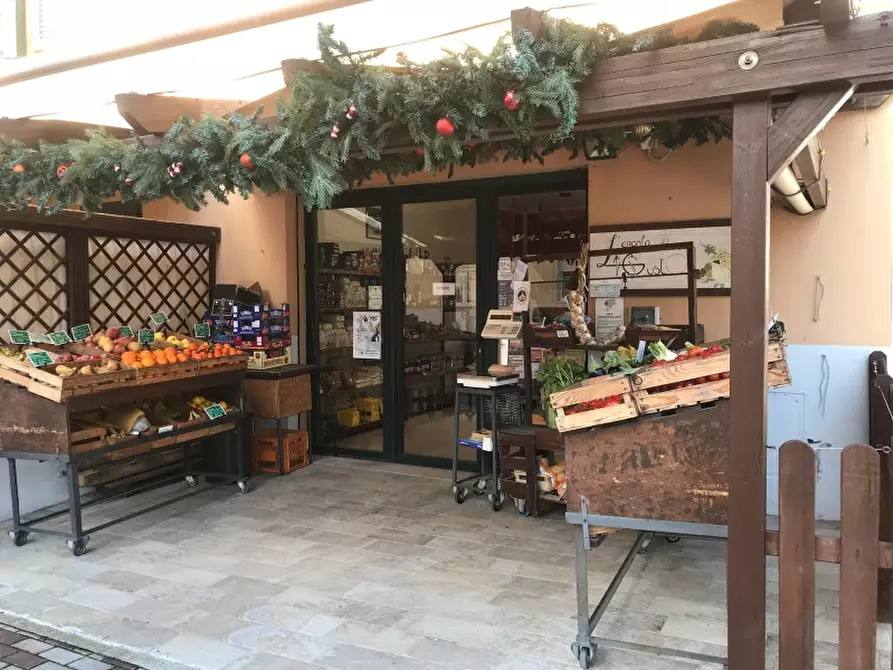 Immagine 22 di Attività commerciale in vendita  in Saan Vincenzo a San Vincenzo