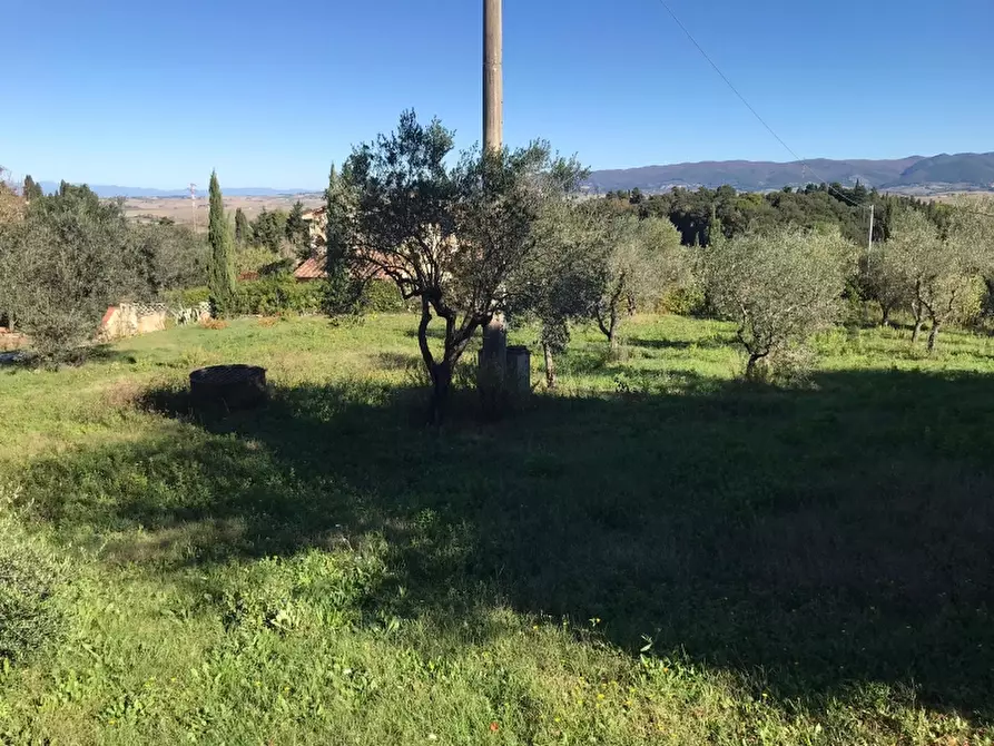 Immagine 2 di Rustico / casale in vendita  in via della giunga a Rosignano Marittimo
