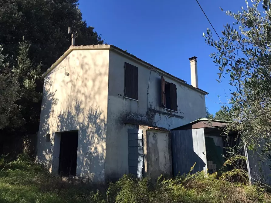 Immagine 11 di Rustico / casale in vendita  in via della giunga a Rosignano Marittimo