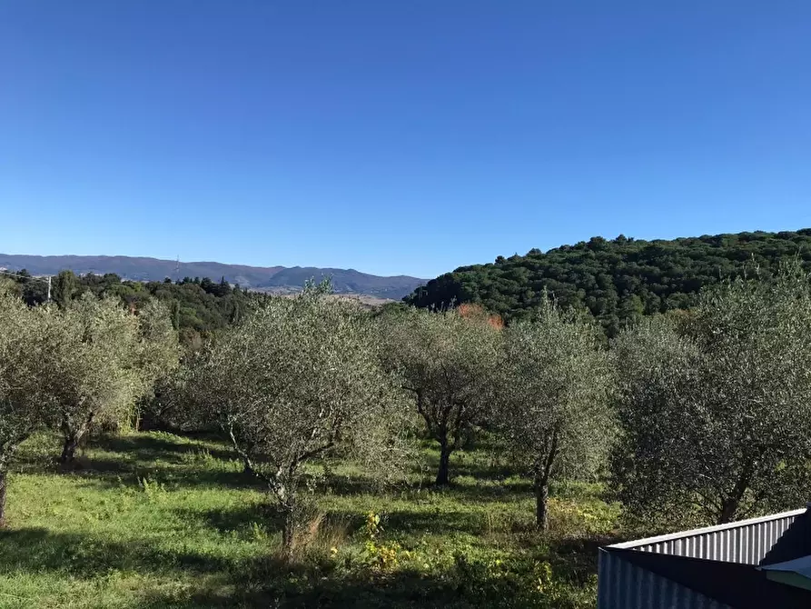Immagine 15 di Rustico / casale in vendita  in via della giunga a Rosignano Marittimo