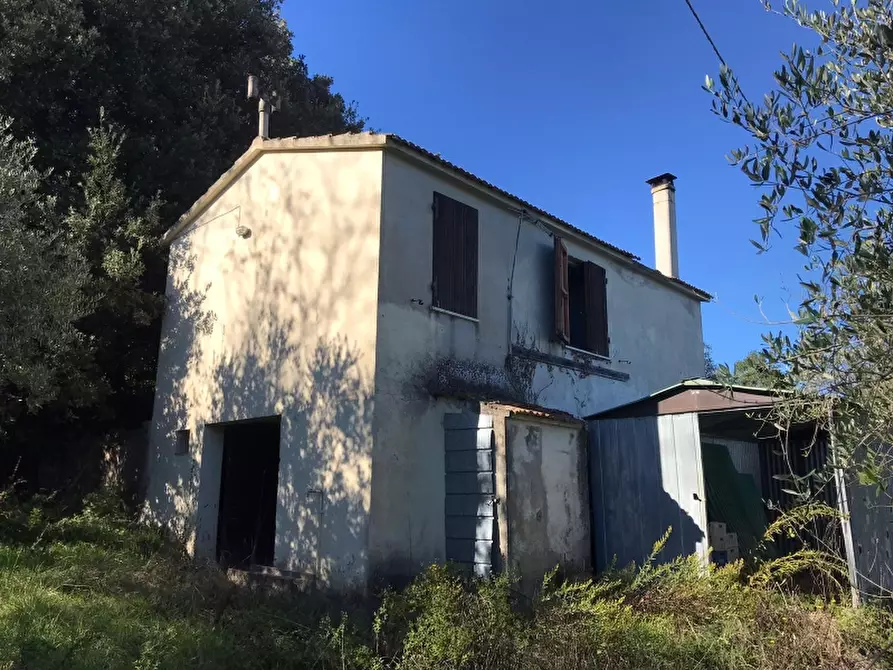 Immagine 3 di Rustico / casale in vendita  in via della giunga a Rosignano Marittimo