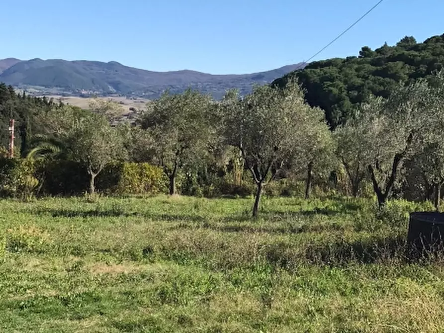 Immagine 4 di Rustico / casale in vendita  in via della giunga a Rosignano Marittimo