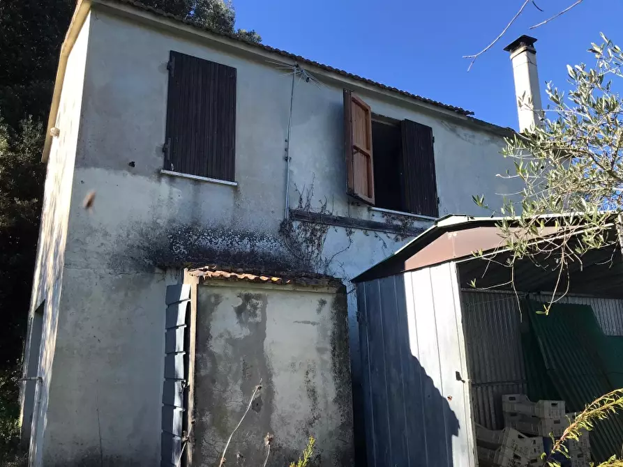 Immagine 6 di Rustico / casale in vendita  in via della giunga a Rosignano Marittimo