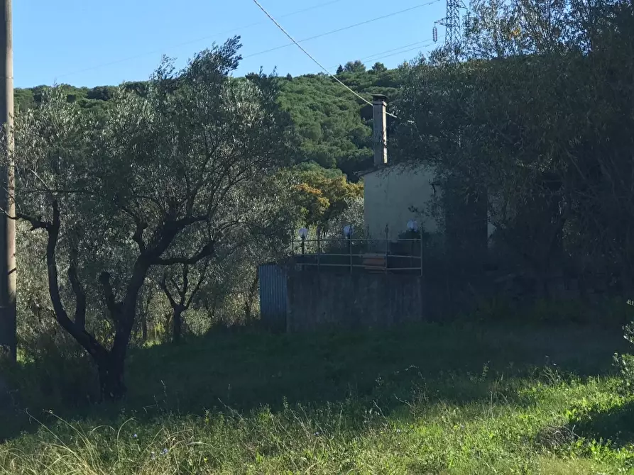Immagine 10 di Rustico / casale in vendita  in via della giunga a Rosignano Marittimo
