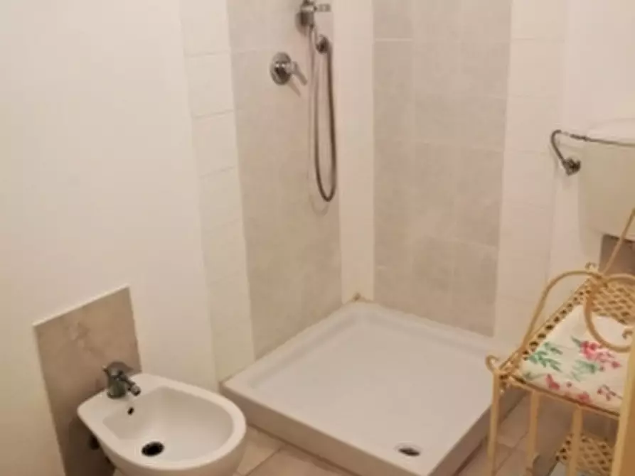 Immagine 15 di Appartamento in affitto  a Cecina