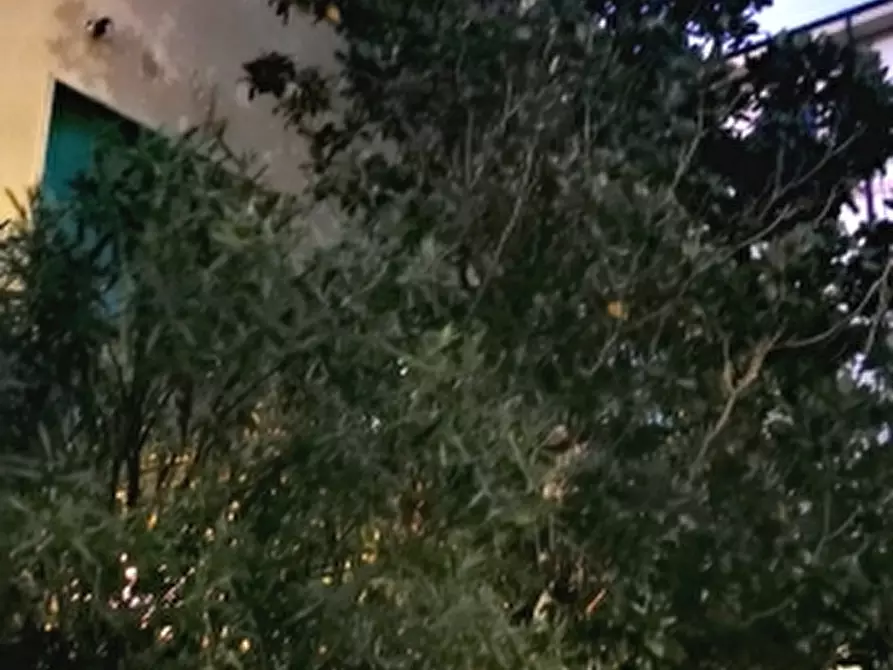 Immagine 9 di Appartamento in vendita  a Livorno