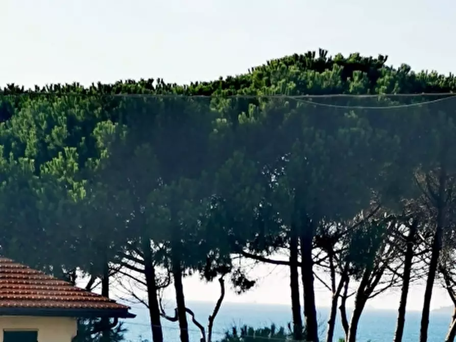 Immagine 4 di Monolocale in vendita  a Rosignano Marittimo