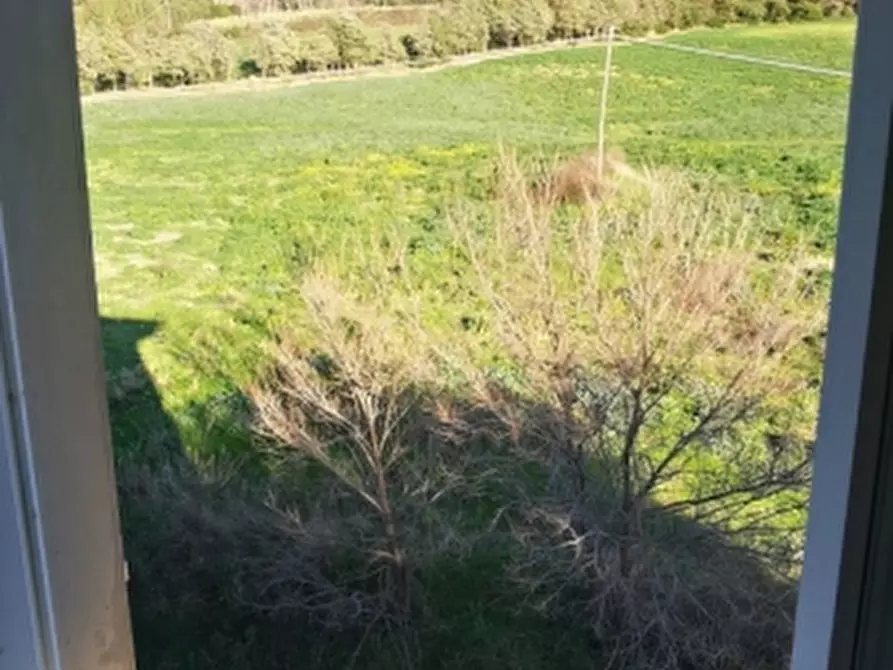 Immagine 4 di Appartamento in vendita  in Loc la lespa a Santa Luce