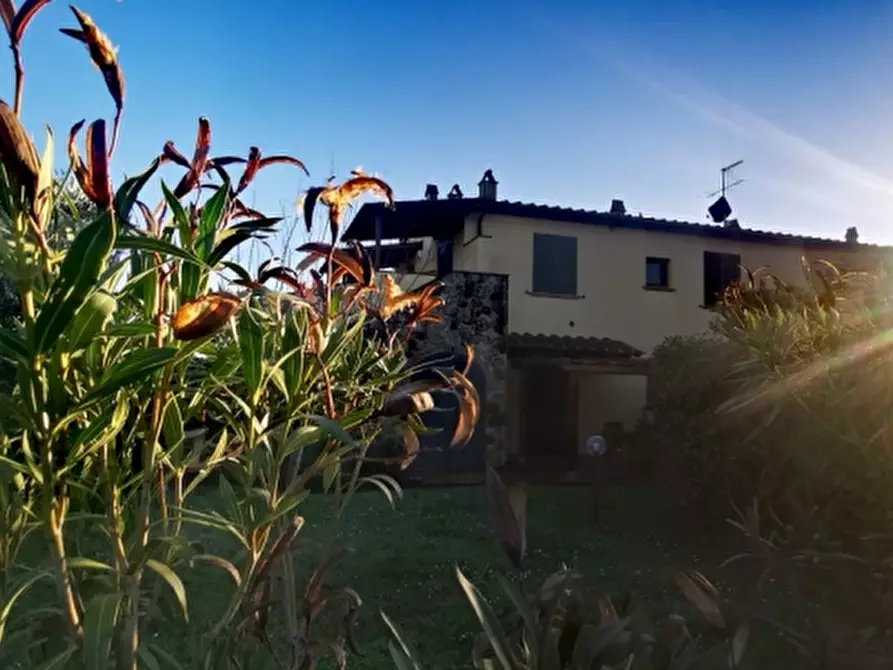 Immagine 1 di Appartamento in vendita  a Santa Luce