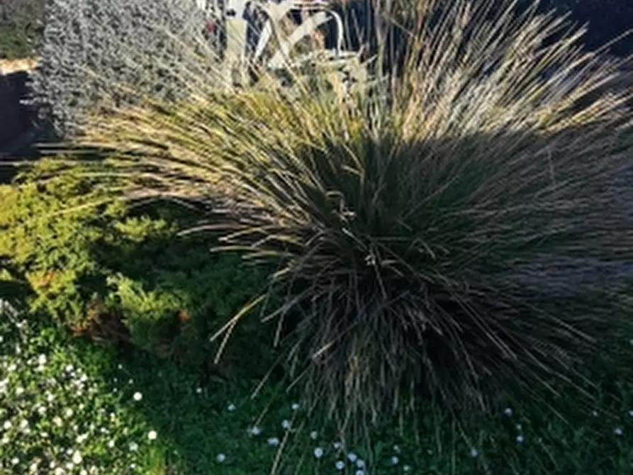 Immagine 3 di Appartamento in vendita  a Santa Luce