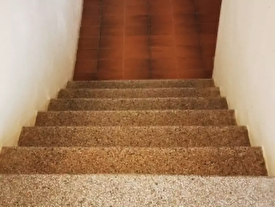 Immagine 17 di Appartamento in vendita  a Castellina Marittima