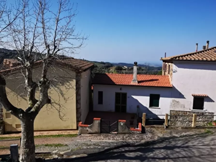 Immagine 7 di Appartamento in vendita  a Castellina Marittima