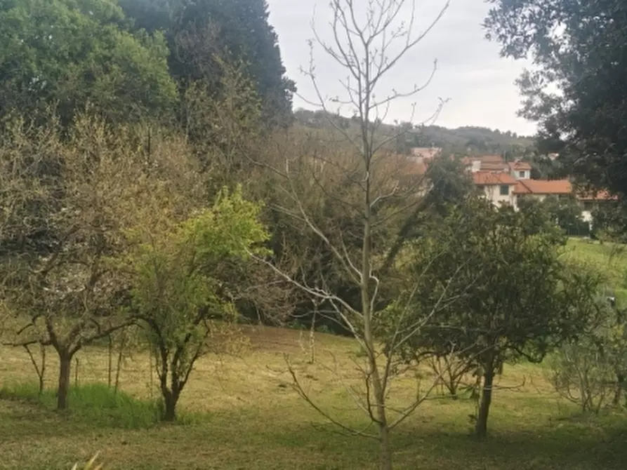 Immagine 14 di Appartamento in vendita  a Castellina Marittima