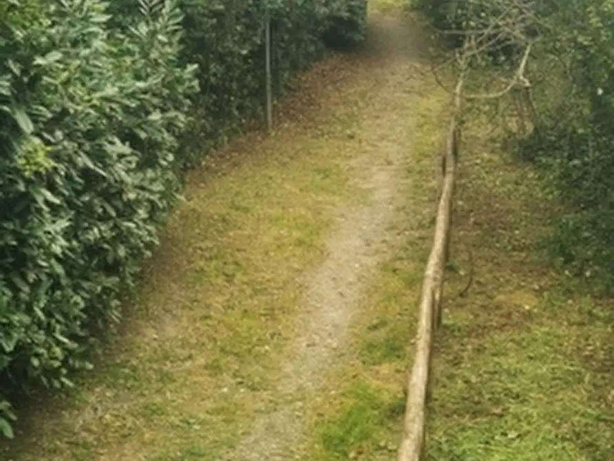 Immagine 16 di Appartamento in vendita  a Castellina Marittima