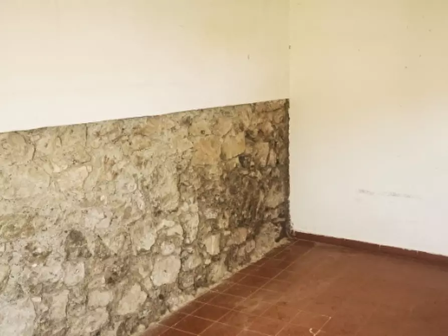 Immagine 3 di Appartamento in vendita  a Castellina Marittima