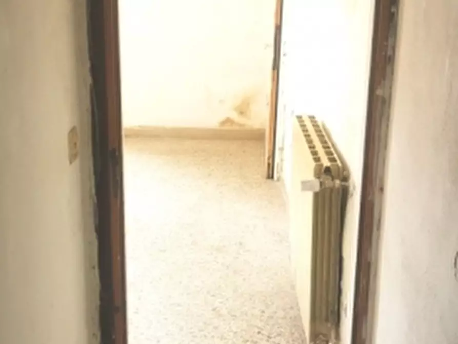 Immagine 6 di Appartamento in vendita  a Castellina Marittima