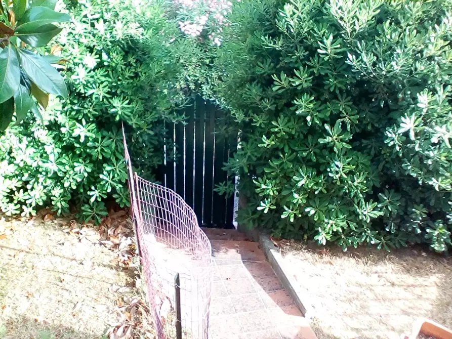 Immagine 8 di Appartamento in vendita  in Via Mare  Adriatico a Rosignano Marittimo