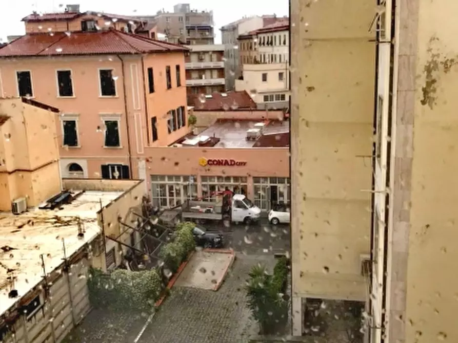 Immagine 19 di Appartamento in vendita  a Livorno