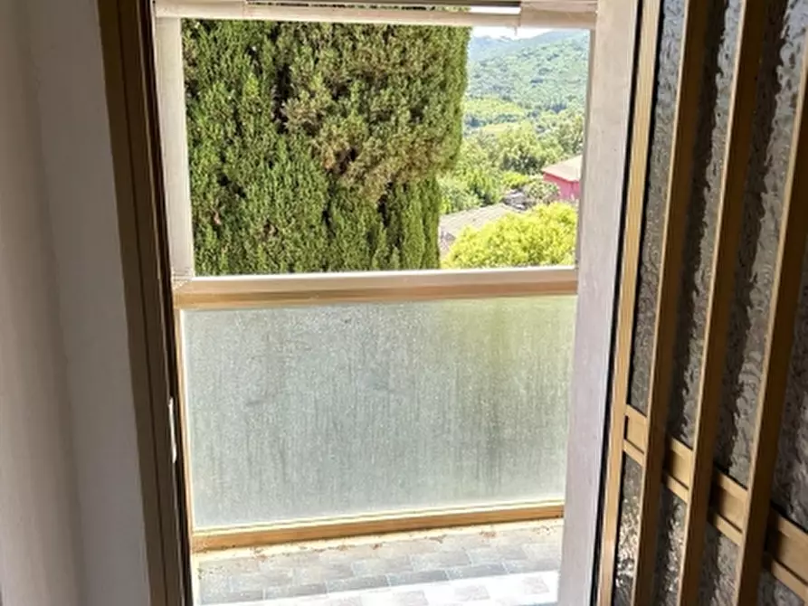Immagine 12 di Appartamento in vendita  a Rosignano Marittimo