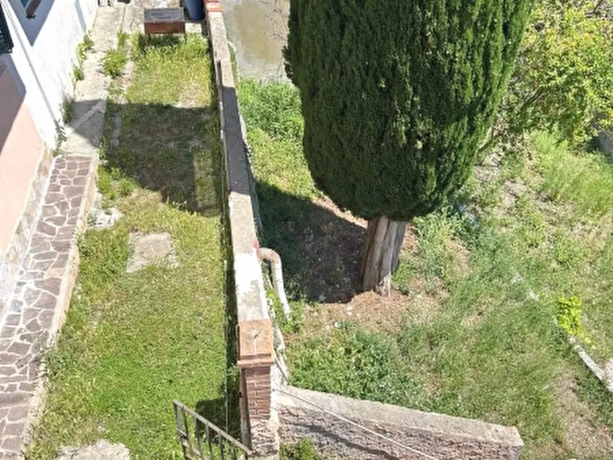 Immagine 8 di Appartamento in vendita  a Rosignano Marittimo