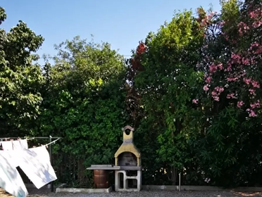 Immagine 14 di Appartamento in vendita  a Rosignano Marittimo
