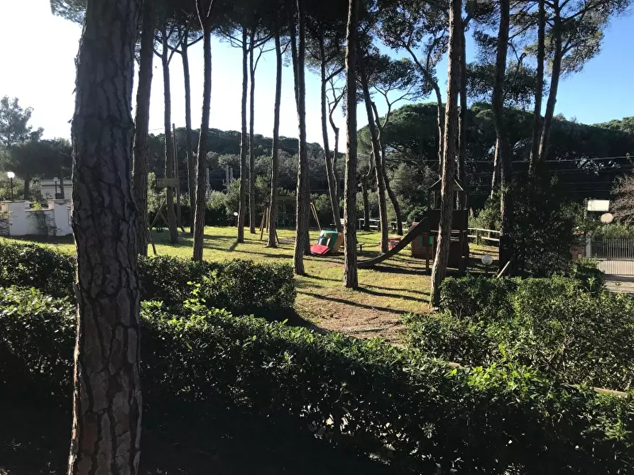 Immagine 8 di Appartamento in vendita  in Via Aurelia a Rosignano Marittimo