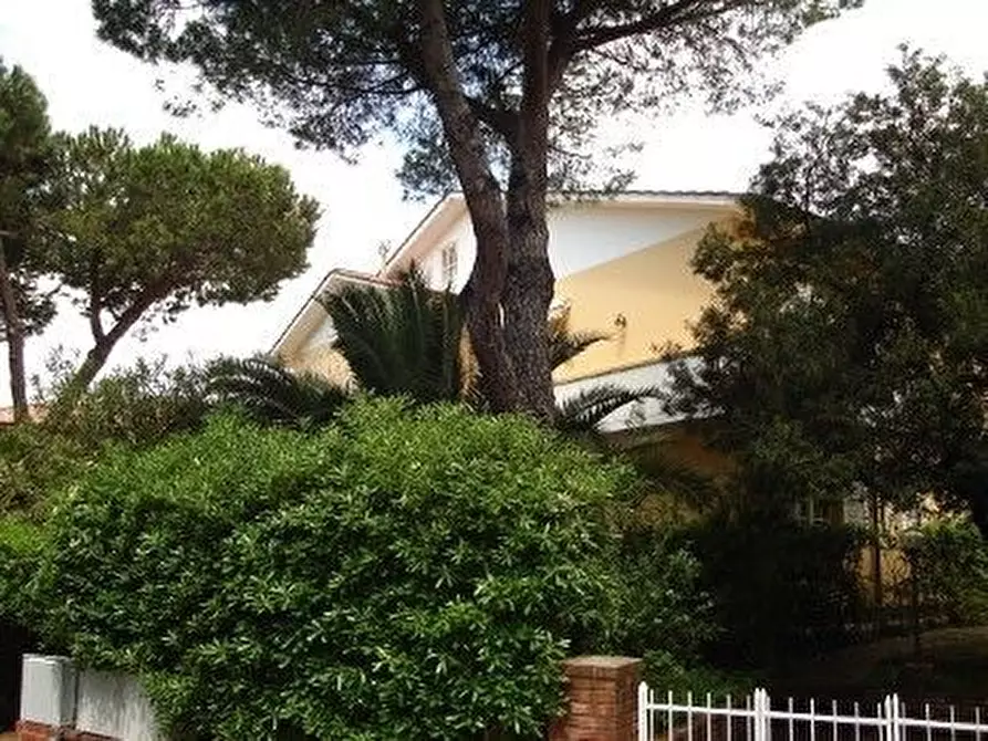 Immagine 3 di Attico in affitto  in Via Generale Orlando Lorenzini a Rosignano Marittimo