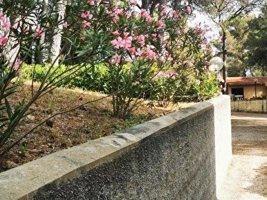 Immagine 3 di Appartamento in vendita  in Via Aurelia a Rosignano Marittimo