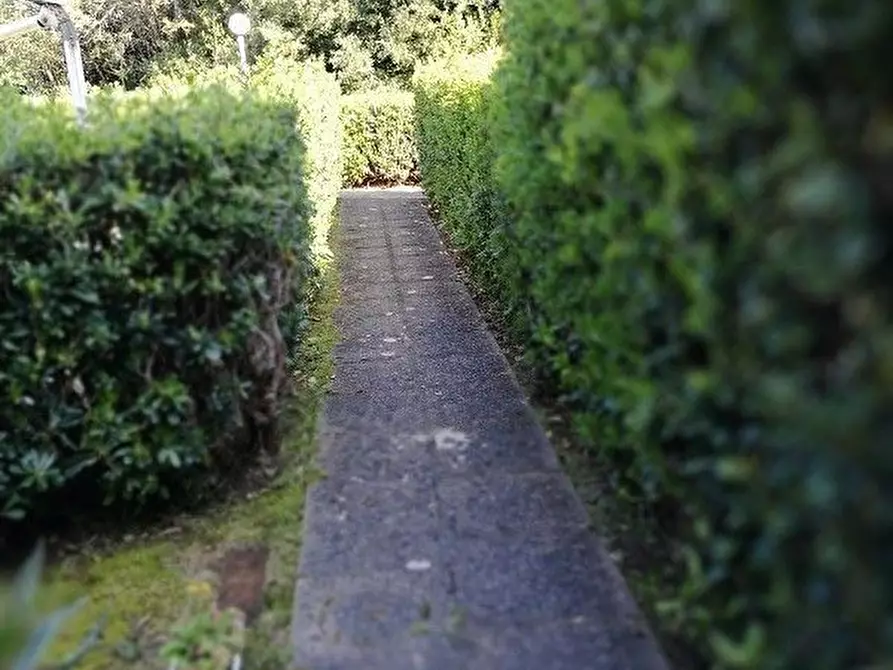 Immagine 14 di Appartamento in vendita  in Via Aurelia 710 a Rosignano Marittimo