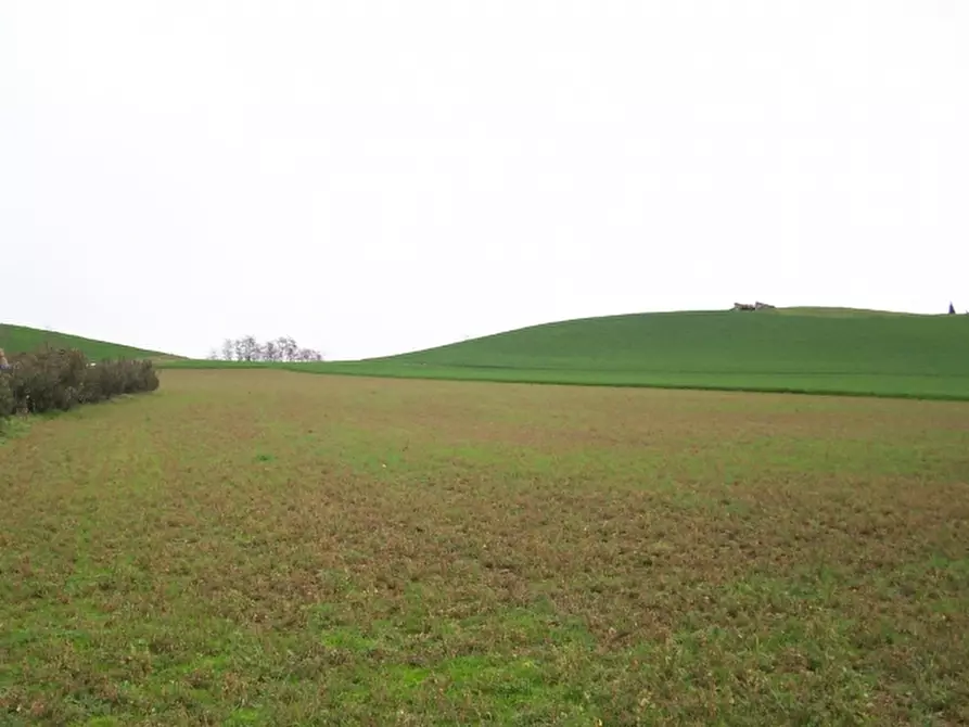 Immagine 1 di Terreno residenziale in vendita  in via castelvenzago 1 a Lonato del Garda