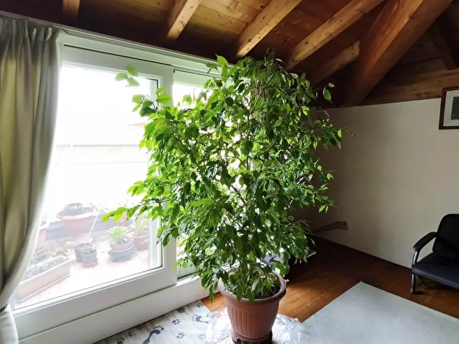 Immagine 8 di Appartamento in vendita  in Via Bonvicino a Desenzano Del Garda