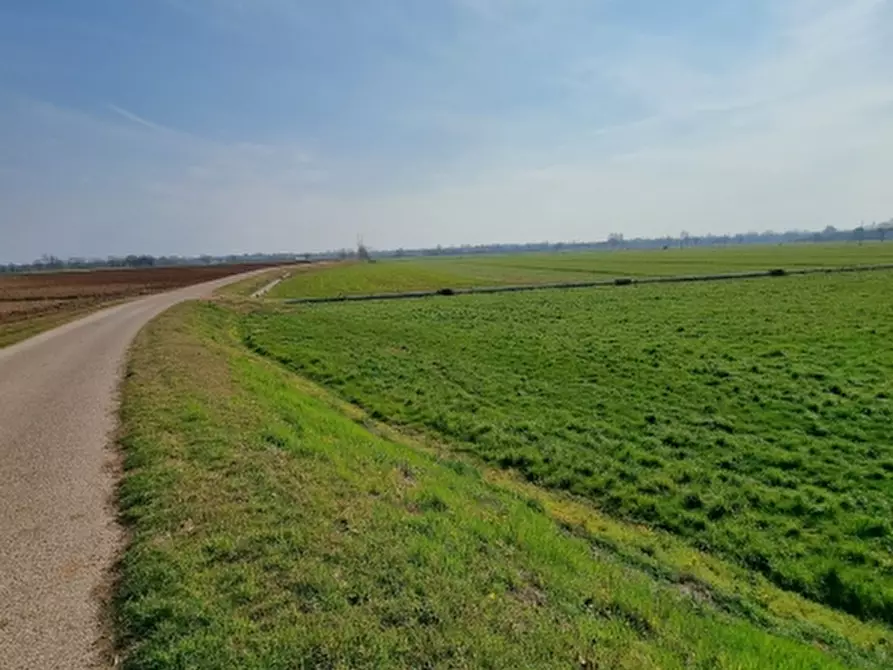 Immagine 1 di Terreno agricolo in vendita  in via tonello a Volta Mantovana