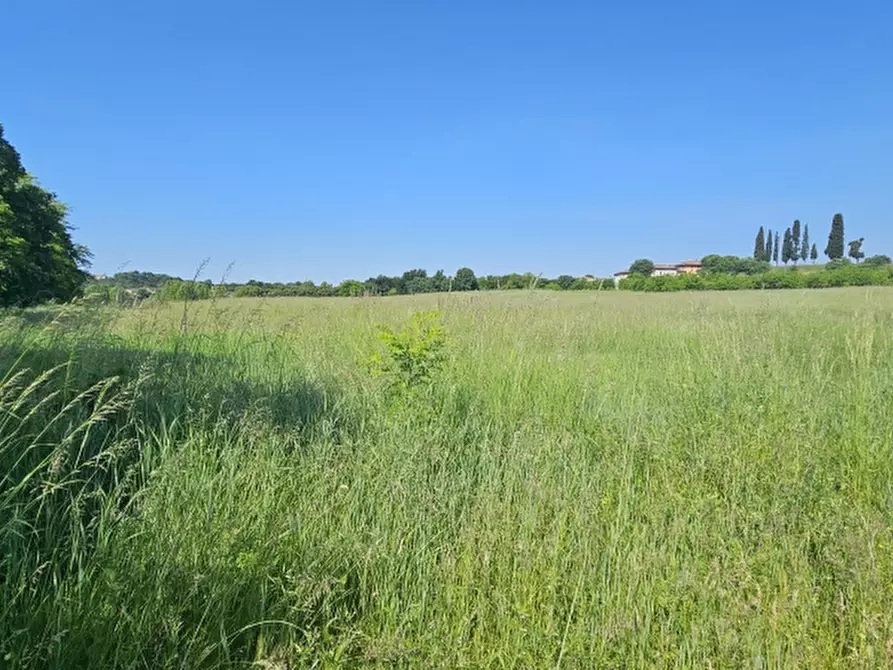 Immagine 2 di Terreno agricolo in vendita  in via tonello a Volta Mantovana