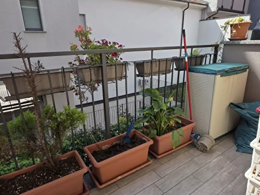 Immagine 13 di Appartamento in vendita  a Varedo