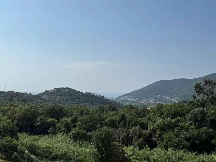 Immagine 12 di Terratetto in vendita  a Boissano