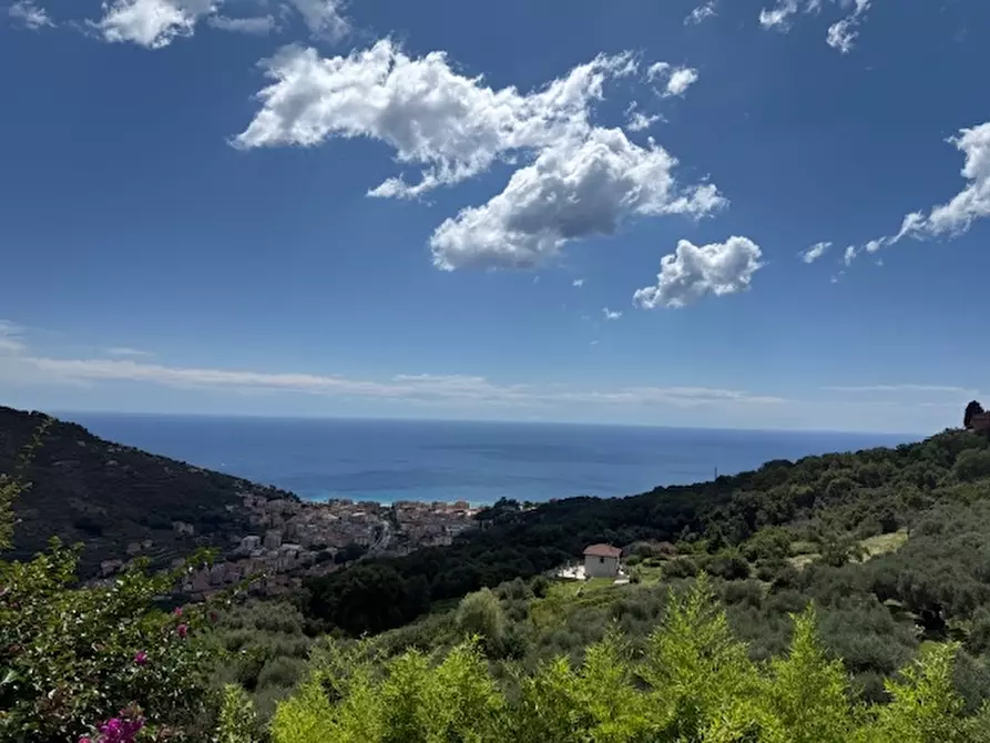 Immagine 26 di Villa in vendita  a Finale Ligure