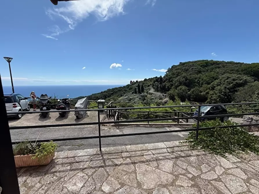 Immagine 31 di Villa in vendita  a Finale Ligure