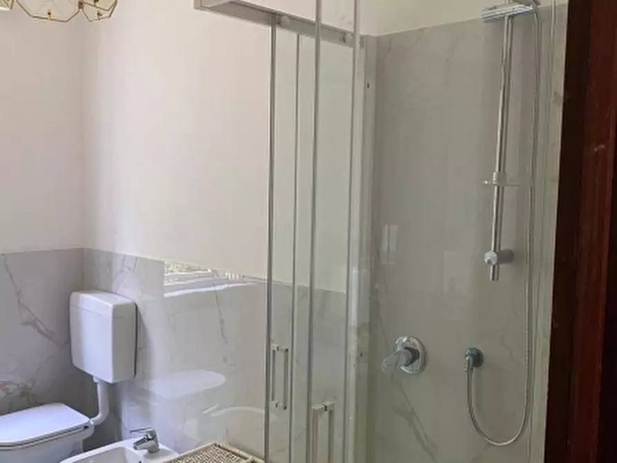 Immagine 16 di Appartamento in vendita  a Borghetto Santo Spirito