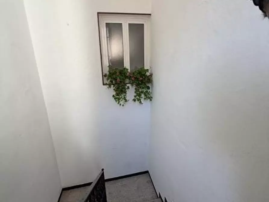 Immagine 6 di Appartamento in vendita  a Loano