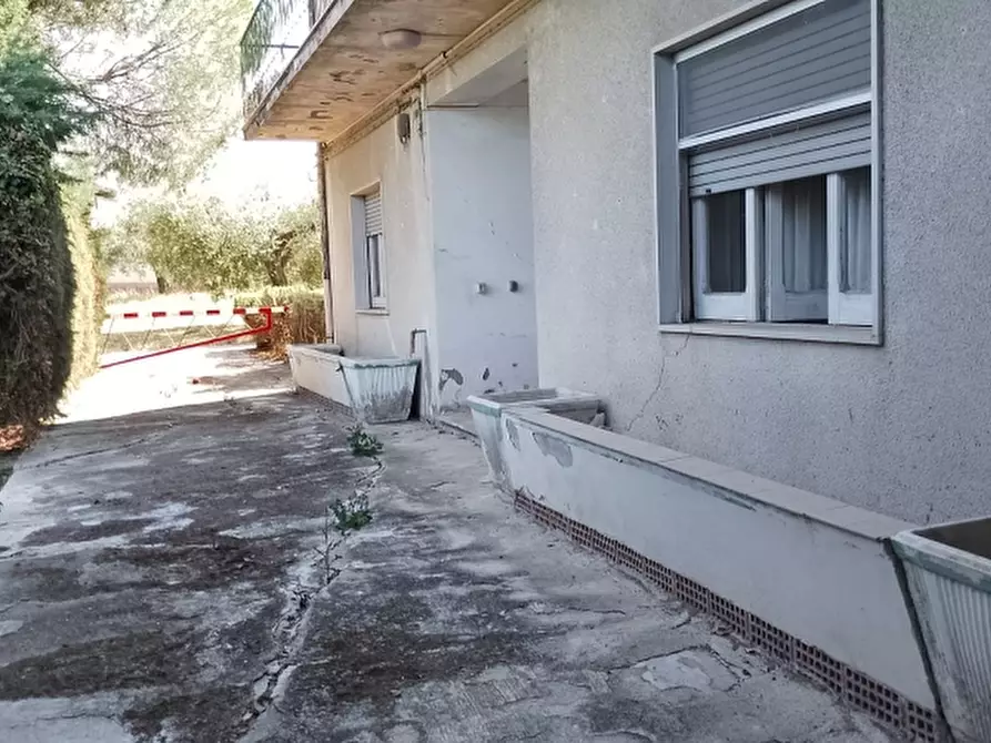 Immagine 4 di Casa indipendente in vendita  a Pollutri