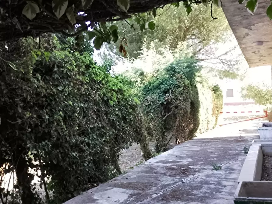 Immagine 3 di Casa indipendente in vendita  a Pollutri