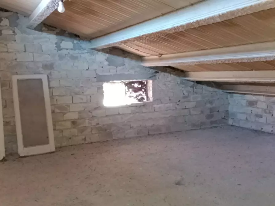 Immagine 28 di Casa indipendente in vendita  a Pollutri
