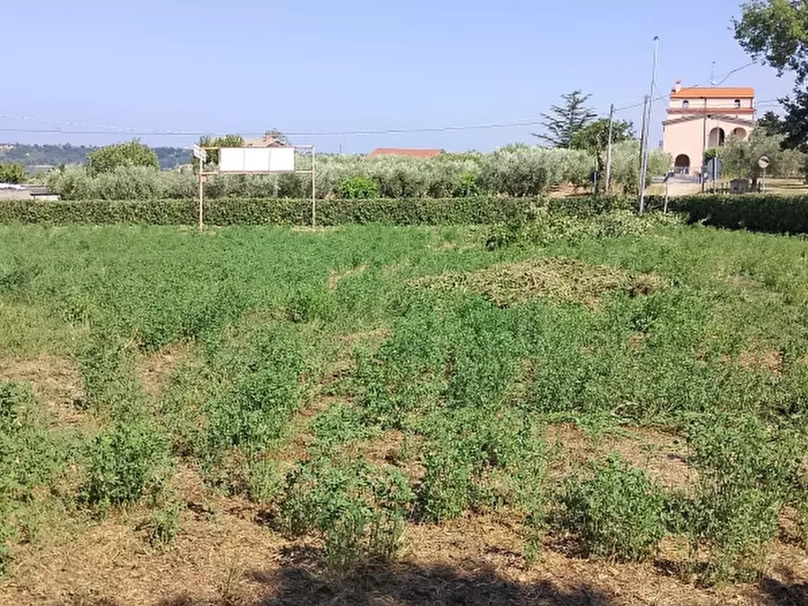 Immagine 16 di Casa indipendente in vendita  a Pollutri