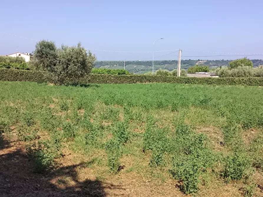 Immagine 5 di Casa indipendente in vendita  a Pollutri