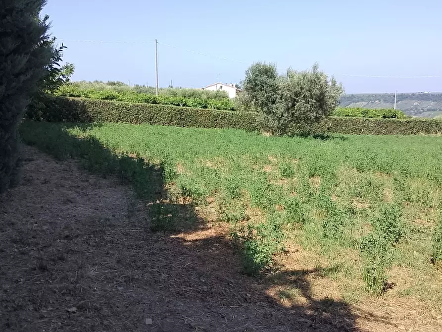 Immagine 6 di Casa indipendente in vendita  a Pollutri